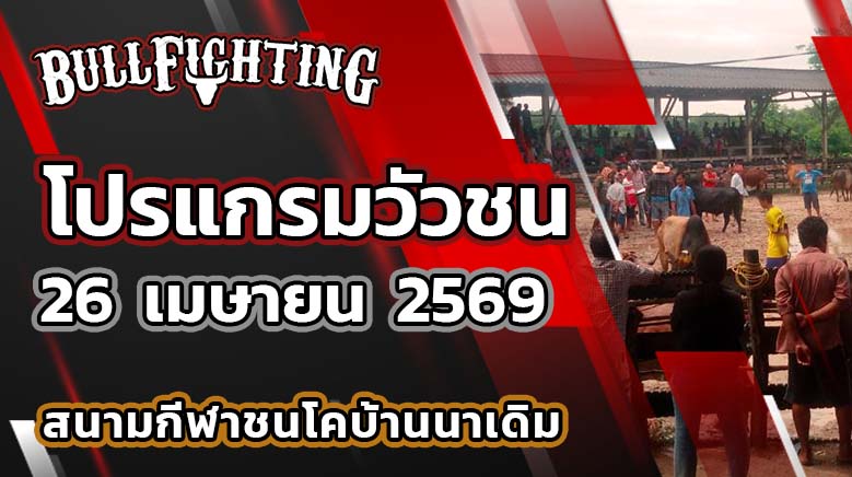 โปรแกรมวัวชน สนามกีฬาชนโคบ้านนาเดิม วันที่ 26 เมษายน 2569 เว็บไซต์ : Bullfighting.bet