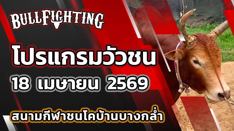โปรแกรมวัวชน สนามกีฬาชนโคบ้านบางกล่ำ วันที่ 18 เมษายน 2569 เว็บไซต์ : Bullfighting.bet