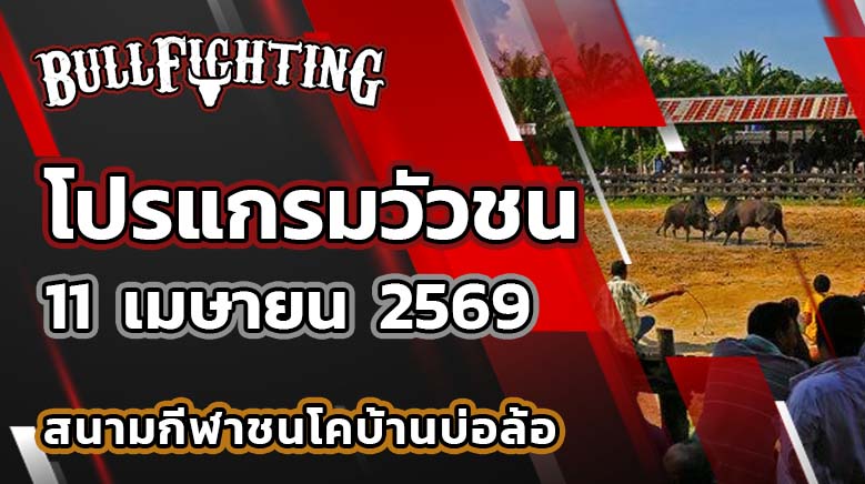 โปรแกรมวัวชน สนามกีฬาชนโคบ้านบ่อล้อ วันที่ 11 เมษายน 2569 เว็บไซต์ : Bullfighting.bet