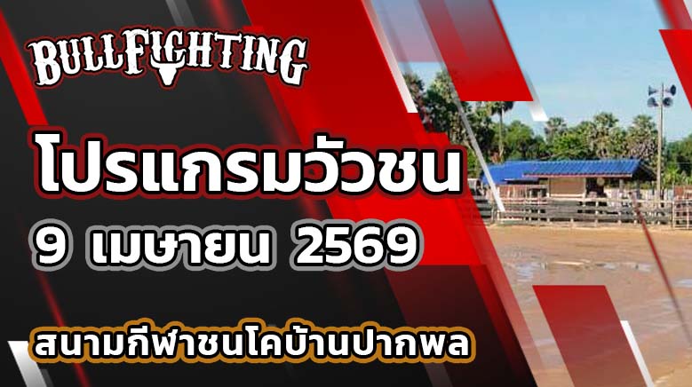 โปรแกรมวัวชน สนามกีฬาชนโคบ้านปากพล วันที่ 9 เมษายน 2569 เว็บไซต์ : Bullfighting.bet