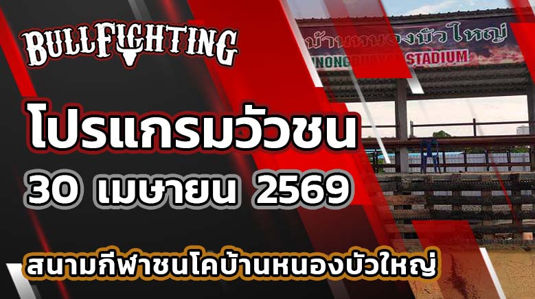 โปรแกรมวัวชน สนามกีฬาชนโคบ้านหนองบัวใหญ่ วันที่ 30 เมษายน 2569 เว็บไซต์ : Bullfighting.bet