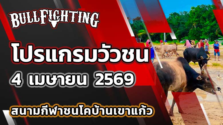 โปรแกรมวัวชน สนามกีฬาชนโคบ้านเขาแก้ว วันที่ 4 เมษายน 2569 เว็บไซต์ : Bullfighting.bet