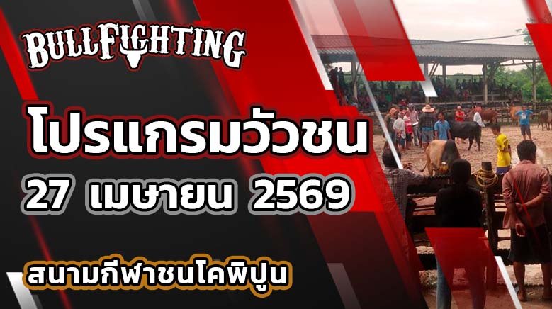 โปรแกรมวัวชน สนามกีฬาชนโคพิปูน วันที่ 27 เมษายน 2569 เว็บไซต์ : Bullfighting.bet