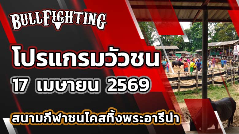 โปรแกรมวัวชน สนามกีฬาชนโคสทิ้งพระอารีน่า วันที่ 17 เมษายน 2569 เว็บไซต์ : Bullfighting.bet