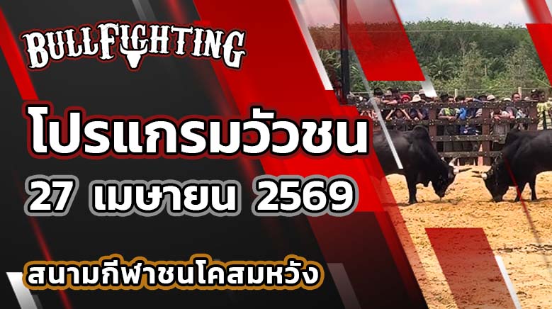 โปรแกรมวัวชน สนามกีฬาชนโคสมหวังสเตเดี้ยม วันที่ 27 เมษายน 2569 เว็บไซต์ : Bullfighting.bet