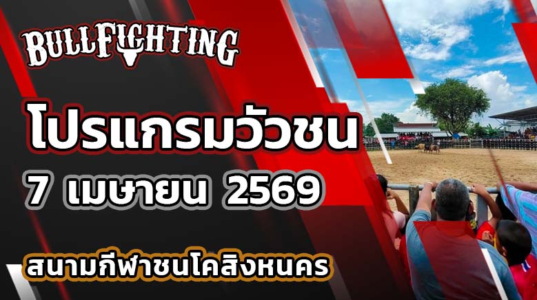 โปรแกรมวัวชน สนามกีฬาชนโคสิงหนคร วันที่ 7 เมษายน 2569 เว็บไซต์ : Bullfighting.bet