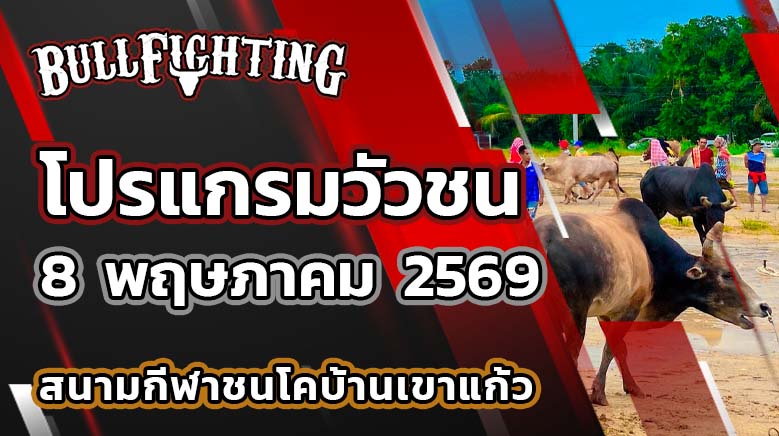 โปรแกรมวัวชน สนามกีฬาชนโคบ้านเขาแก้ว วันที่ 8 พฤษภาคม 2569 เว็บไซต์ : Bullfighting.bet
