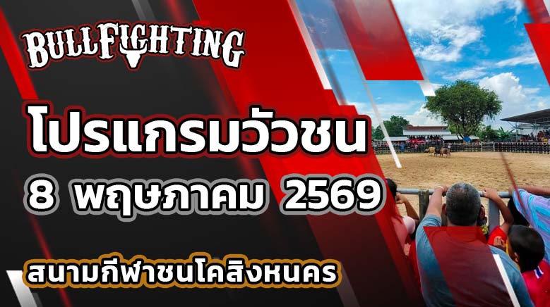 โปรแกรมวัวชน สนามกีฬาชนโคสิงหนคร วันที่ 8 พฤษภาคม 2569 เว็บไซต์ : Bullfighting.bet
