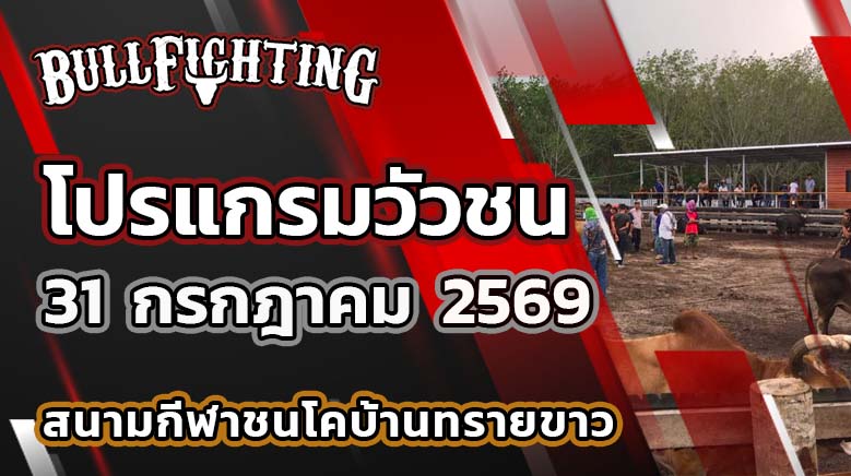 โปรแกรมวัวชน สนามกีฬาชนโคบ้านทรายขาว วันที่ 31 กรกฎาคม 2569 เว็บไซต์: Bullfighting.bet