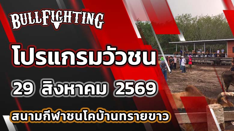 โปรแกรมวัวชน สนามกีฬาชนโคบ้านทรายขาว วันที่ 29 สิงหาคม 2569 เว็บไซต์ : Bullfighting.Bet