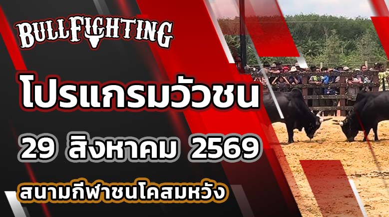 โปรแกรมวัวชน สนามกีฬาชนโคสมหวัง สเตเดี้ยม วันที่ 29 สิงหาคม 2569 เว็บไซต์ : Bullfighting.Bet