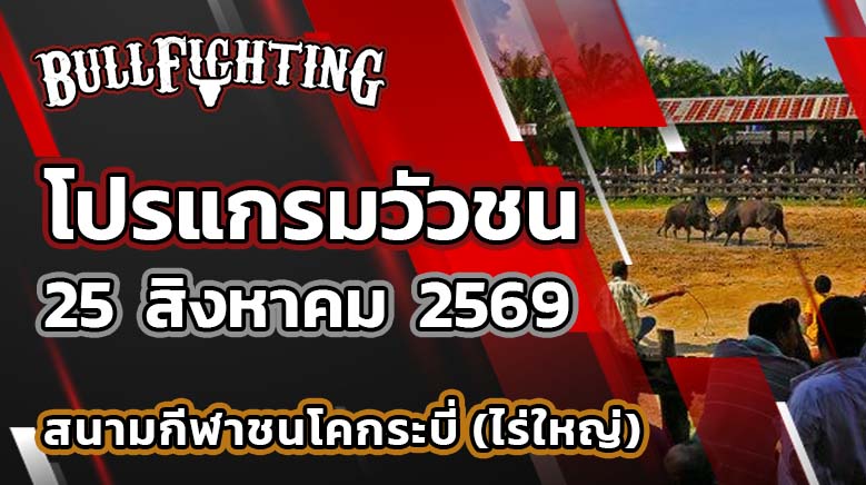 โปรแกรมวัวชน สนามกีฬาชนโคกระบี่ (ไร่ใหญ่) วันที่ 25 สิงหาคม 2569 เว็บไซต์: Bullfighting.bet