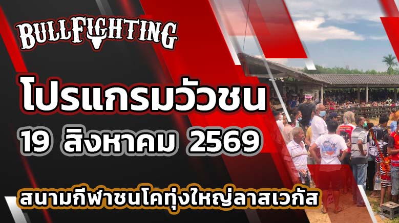 โปรแกรมวัวชน สนามกีฬาชนโคทุ่งใหญ่ลาสเวกัส วันที่ 19 สิงหาคม 2569 เว็บไซต์: Bullfighting.bet