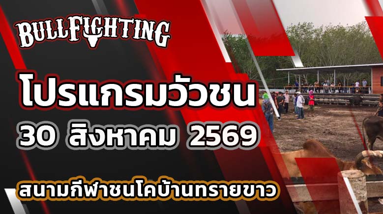 โปรแกรมวัวชน สนามกีฬาชนโคบ้านทรายขาว วันที่ 30 สิงหาคม 2569 เว็บไซต์: Bullfighting.bet