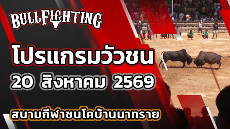 โปรแกรมวัวชน สนามกีฬาชนโคบ้านนาทราย วันที่ 20 สิงหาคม 2569 เว็บไซต์: Bullfighting.bet