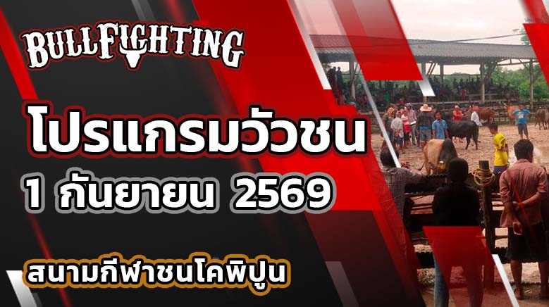 โปรแกรมวัวชน สนามกีฬาชนโคพิปูน วันที่ 1 กันยายน 2569 เว็บไซต์: Bullfighting.bet