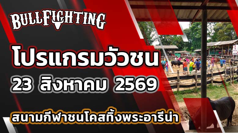 โปรแกรมวัวชน สนามกีฬาชนโคสทิ้งพระอารีน่า วันที่ 23 สิงหาคม 2569 เว็บไซต์: Bullfighting.bet