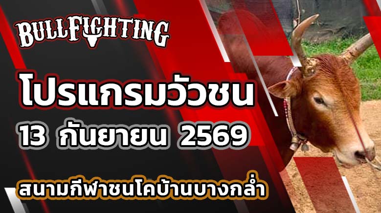 โปรแกรมวัวชน สนามกีฬาชนโคบ้านบางกล่ำ วันที่ 13 กันยายน 2569 เว็บไซต์: Bullfighting.bet