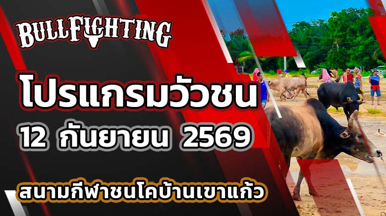 โปรแกรมวัวชน สนามกีฬาชนโคบ้านเขาแก้ว วันที่ 12 กันยายน 2569 เว็บไซต์: Bullfighting.bet