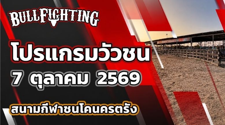 โปรแกรมวัวชน สนามกีฬาชนโคนครตรัง วันที่ 7 ตุลาคม 2569 เว็บไซต์ Bullfighting.bet