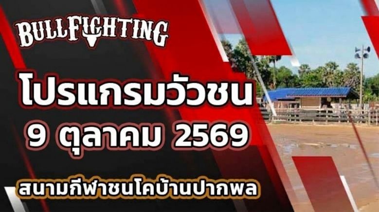 โปรแกรมวัวชน สนามกีฬาชนโคบ้านปากพล วันที่ 9 ตุลาคม 2569 เว็บไซต์ Bullfighting.bet