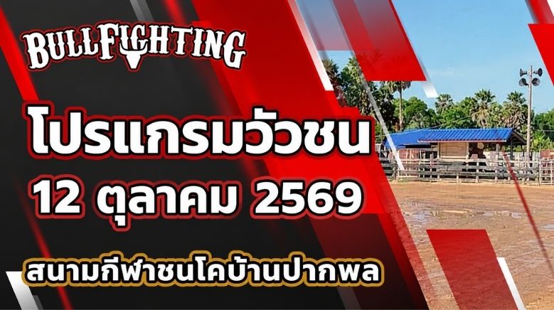 โปรแกรมวัวชน สนามกีฬาชนโคบ้านปากพล วันที่ 12 ตุลาคม 2569 เว็บไซต์ Bullfighting.bet