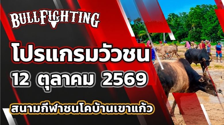 โปรแกรมวัวชน สนามกีฬาชนโคบ้านเขาแก้ว วันที่ 12 ตุลาคม 2569 เว็บไซต์ Bullfighting.bet