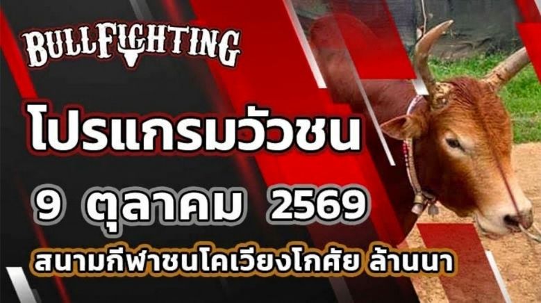 โปรแกรมวัวชน สนามกีฬาชนโคเวียงโกศัย ล้านนา วันที่ 9 ตุลาคม 2569 เว็บไซต์ Bullfighting.bet
