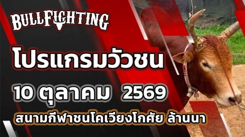 โปรแกรมวัวชน สนามกีฬาชนโคเวียงโกศัยล้านนา วันที่ 10 ตุลาคม 2569 เว็บไซต์ Bullfighting.bet